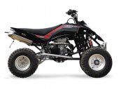 2010 GAS GAS Wild HP 450 photo